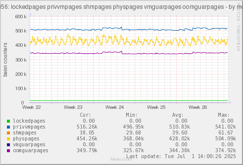 VE356: lockedpages privvmpages shmpages physpages vmguarpages oomguarpages